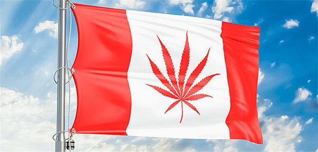 Kanada legalisiert Cannabis Hersteller frohlocken: Gestern hat das Parlamanet in Ottawa Cannabis legalisiert.