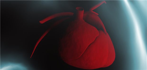 Herz: Von mehr als 330.000 Dänen und Däninnen mit Typ-2-Diabetes wurden 23.300 wegen einer neu aufgetretenen Herzinsuffizienz in ein Krankenhaus aufgenommen. Welche Rolle spielen NSAR-Verordnungen?