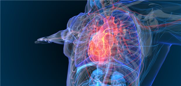 Herz im Blick: Wie oft es bei Diabetes-Patienten zu kardiovaskulären Ereignissen kommt, haben Wissenschaftler aus Boston geprüft.&#xA;