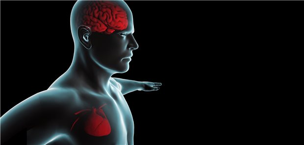 Herz und Kopf: Ab zwei kardiometabolischen Erkrankungen steigt das Risiko für eine Demenz deutlich, berichten Forscher.