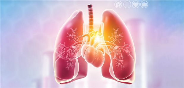 Herz und Lunge: Fehlfunktionen des einen Organs können die Funktion des anderen beeinträchtigen. So führen etwa kongenitale systemisch-pulmonale Shunts zu pulmonaler Vaskulopathie.