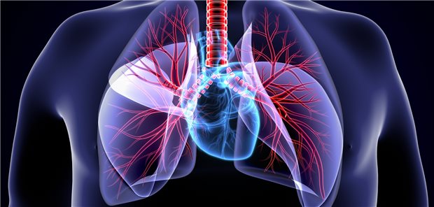 Herz und Lunge im Fokus: Herzinsuffizienz und COPD haben viele gemeinsame Ursachen – Zigarettenrauchen, ungesunde Ernährung, hoher Blutdruck und mangelnde körperliche Bewegung. Die pathologischen Mechanismen ähneln sich.