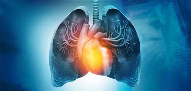 Herz und Lunge im Visier: Insgesamt dürften bis zu 40 Prozent der COPD-Patienten auch eine Herzinsuffizienz haben. An eine Herzinsuffizienz sollte man immer denken, wenn unter der kombinierten Therapie mit LAMA und LABA die Luftnot persistiert.