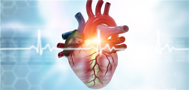 Herzgesundheit im Blick: Eine intensive Blutdrucksenkung hat sich der Studie SPRINT zufolge als präventiv wirksam erwiesen.