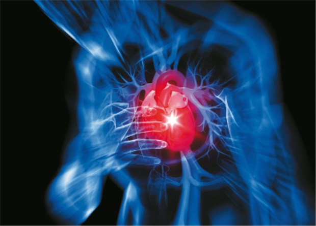 Zelltherapie scheint Herzen nach Infarkt zu schützen Herzinfarkt. © S. Kaulitzki / fotolia.com