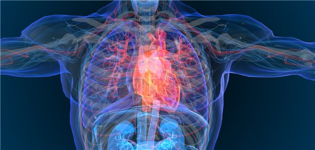 Dapagliflozin jetzt für HFpEF-Therapie zugelassen Herzinsuffizienz: Dapagliflozin kann dabei jetzt für das gesamte Spektrum der Therapie eingesetzt werden, dazu gehören auch Herzinsuffizienzpatientinnen und -patienten mit leicht reduzierter Ejektionsfraktion (HFmrEF) und solche mit erhaltener LVEF (HFpEF).