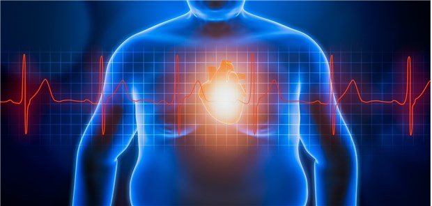 Herzinsuffizienz: Eine neue Skala ermittelt die Risiken für kardiovaskulären Tod und für herzinsuffizienzbedingte Klinikeinweisung.