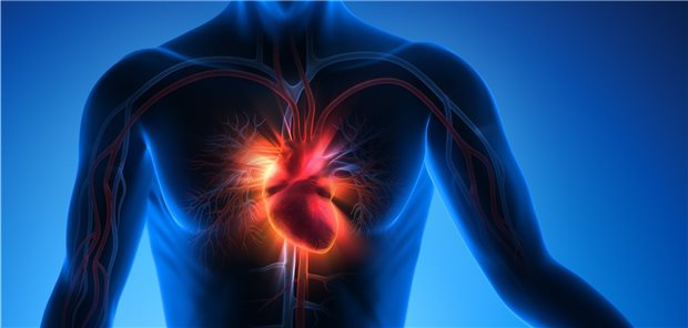 Herzinsuffizienz-Patienten mit reduzierter Ejektionsfraktion sollten jetzt rasch einen ACE-Hemmer oder Angiotensin-Rezeptor-Neprilysin-Inhibitor, einen Betablocker, einen MRA plus einen SGLT2-Hemmer erhalten.