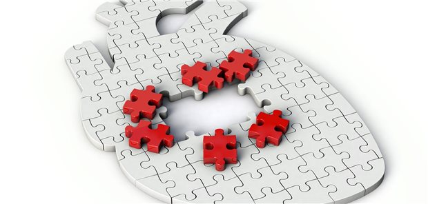 Herzinsuffizienz: Welchen Einfluss hat ein schwindender Skelettmuskel? Forscher haben jetzt ein neues Puzzleteil im Pathomechanismus entdeckt.