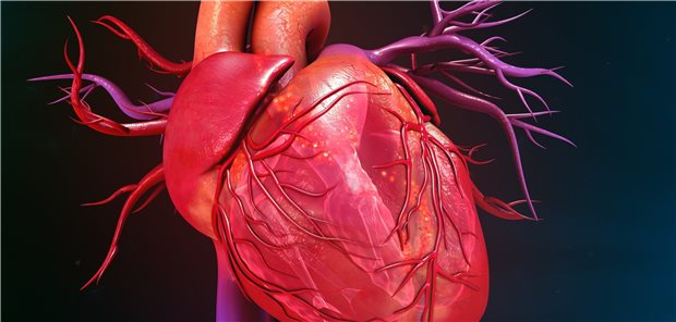 Herzkranzgefäße: Die Revaskularisation nicht nur des aktuellen Problemgefäßes, sondern aller Verschlüsse trägt zum positiven Outcome bei.