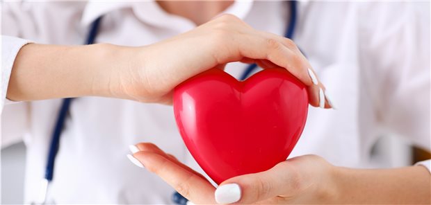 Herzschutz nach Infarkt: Forscher testen auch hier neue Therapiestrategien, um etwa einer Herzinsuffizienz vorzubeugen.