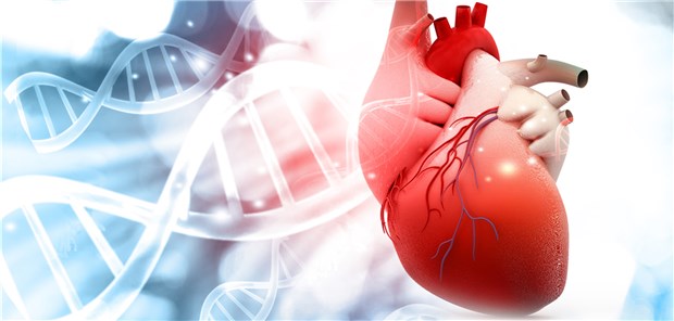 Herztod mit familiärer Ursache? Eine genetische Untersuchung darf nur im Kontext mit der klinischen Untersuchung derAngehörigen erfolgen, so eine Kardiologin. 