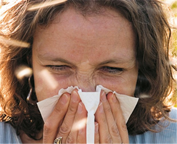 Start für Baumpollenschutz noch nicht passé Heuschnupfen - Die Saison für Baumpollen (Hasel, Erle, Birke) beginnt oft schon im Dezember.