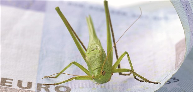 „Heuschrecken“ im Gesundheitswesen sorgen die Ärzte. Wissenschaftler warnen vor einer Frontstellung Ethik versus Ökonomie.