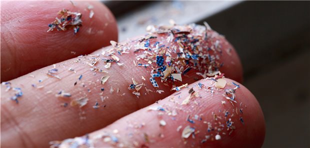 Hier noch mit bloßem Auge zu erkennen: kleine und kleinste Plastikteilchen. Zu welchen Schäden die Aufnahme von Mikroplastik im menschlichen Organismus führt, wird derzeit erforscht.