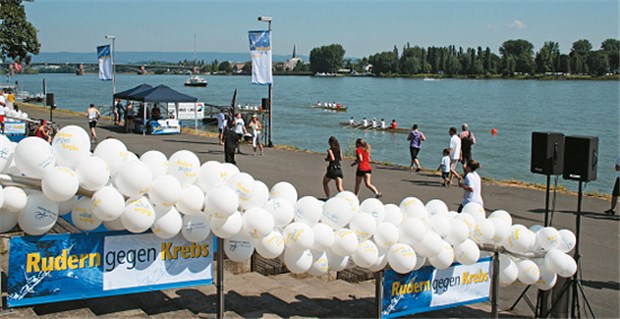 Benefiz-Regatta für Menschen mit Krebs Hinweisschilder und Luftballons: In Mainz rudern engagierte Hobbysportler gegen Krebs.