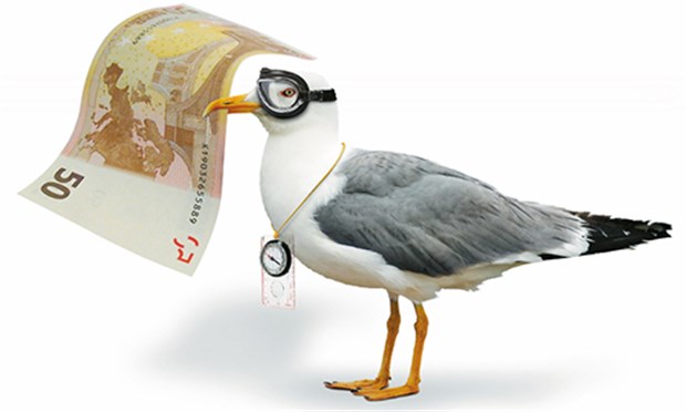 Mit dem Euro gelingt derzeit kein großer Fang Höhenflüge sind für Anleger gegenwärtig weder diesseits noch jenseits des Atlantiks drin.