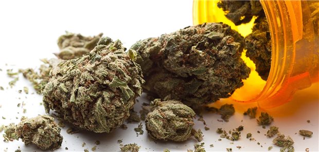 Hoffnung auf Cannabis? Das LSG Stuttgart dämpft jetzt zumindest die Hoffnung auf eine frühzeitige Verordnung auf Kasse.