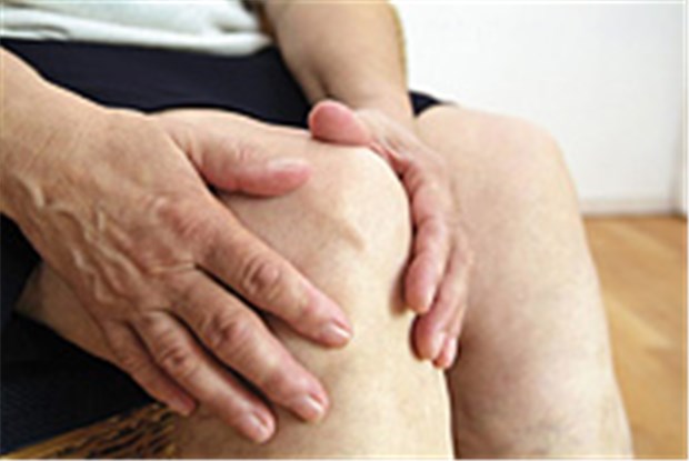 Tissue-Engineering gegen Knorpelschäden bei Arthrose Hoffnung bei Kniegelenksarthrose verspricht das Tissue-Engineering.