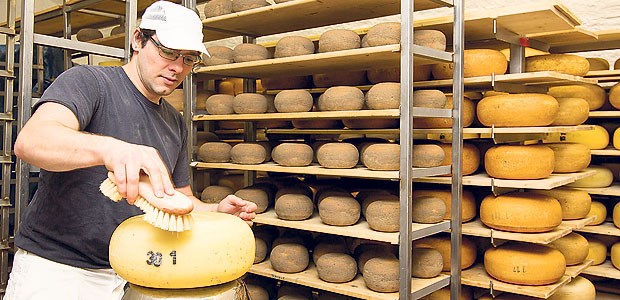 Clean mit Kühen und Käse Hofkäser Reynaldo Lopez bei der Arbeit. Nach vielen vergeblichen Entgiftungen kam er nach Fleckenbühl - und begann ein neues Leben ohne Drogen.