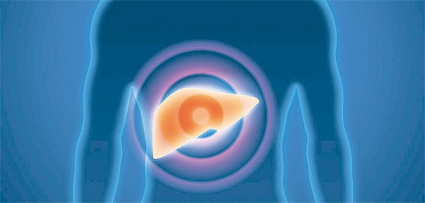 Vier Biomarker geben Aufschluss über Risiko Hohe Entzündungs- und Insulinwerte schaden offenbar auch der Leber.