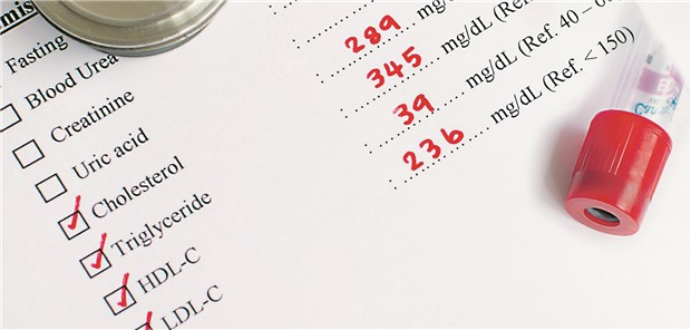 Hohe LDL-Cholesterinspiegel begünstigen die Entwicklung atherosklerotischer Gefäßerkrankungen – und zwar auch langfristig.