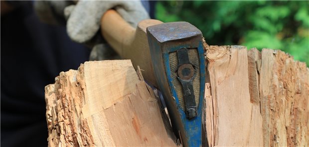 Forstgrundstücke versprechen grüne Rendite und Erholung Holz machen als Stressausgleich? Waldgrundstücke versprechen nicht nur einen hohen Freizeitwert, sondern auch attraktive Rendite.