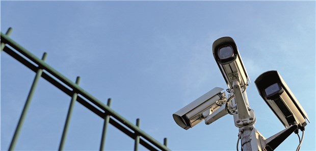 Holzauge sei wachsam! Allzu forsche Überwachung wird allerdings von den Datenschutzbehörden misstrauisch beäugt.