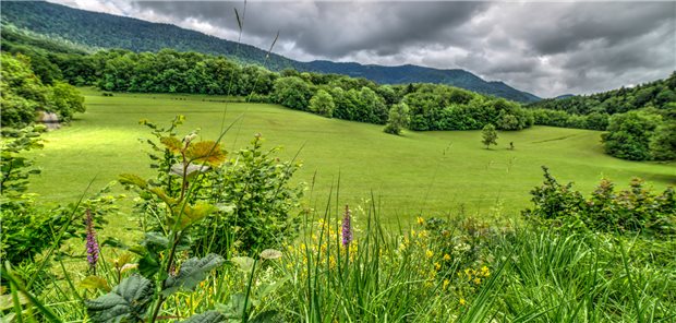 Hügelige Landschaft bei Lochieu im Departement Ain in Ostfrankreich. In dem Landkreis gab es 2020 einen heftigen Ausbruch von Erkrankungen mit Frühsommer-Meningoenzephalitis (FSME).&#xA;
