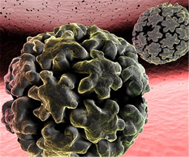 hpv impfung trotz feigwarzen)