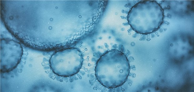 Humanes Immundefizienz-Virus (HIV): Welchen Weg nutzt es, um in den Kern einer gesunden Zelle einzudringen? Hierbei scheint eine Proteinkaskade eine wesentliche Rolle zu spielen.