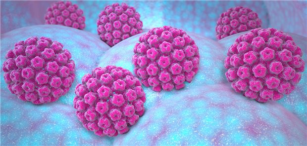 Humanes Papilloma-Virus (HPV)