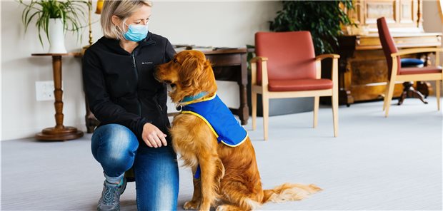 Hund spürt Corona-Infizierte auf Hundeführerin Christelle Schreiber kniet neben dem COVID-Suchhund Pokaa.
