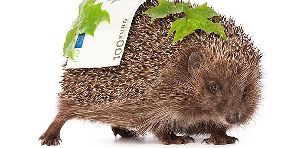 Kassen watschen weitere IGeL ab IGeL bleiben für Ärzte eine stachelige Angelegenheit. Wer hinter ihrem Nutzen steht, kann weiterhin guten Gewissens Geld damit verdienen.