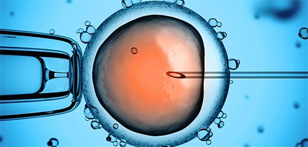 Mehr als 20.000 Babys jährlich nach künstlicher Befruchtung IVF: Die Erfolgsquote in der Reproduktionsmedizin ist in den vergangenen Jahren merklich gestiegen.