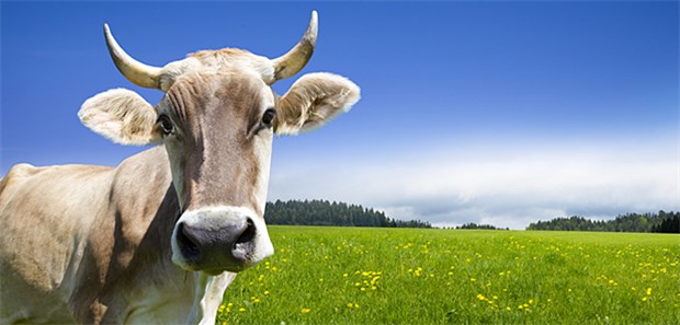 Die Versorgungszufriedenheit bröckelt auf dem Land Idylle auf dem Land? Bei der Versorgung sieht die nicht so gut aus, so eine Befragung.