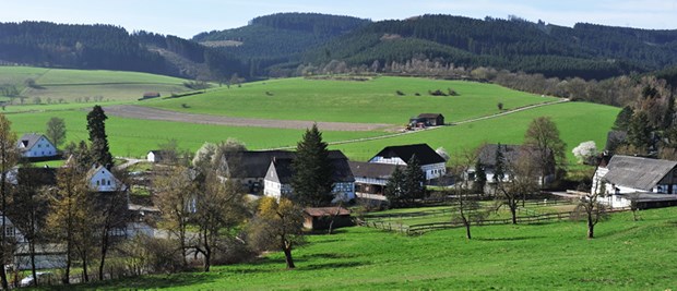 Medizinstudenten, auf ins Sauerland! Idylle im Hochsauerlandkreis: Bloß die Ärzte fehlen - noch.