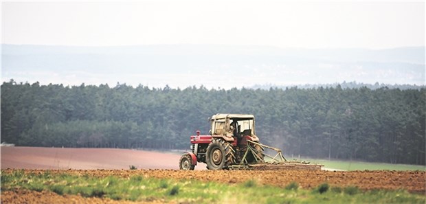 Idyllische Gegend: Im mittelfränkischen Gunzenhausen haben zwei Hausärzte das Projekt „Ärzte schnuppern Landluft“ auf die Beine gestellt.