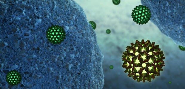 Ein unterschätztes Problem Illustration: Hepatitis-B-Viren vor dem Eindringen in Zellen.