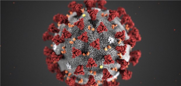 Wird die SARS-CoV-2-Epidemie im Sommer vorbei sein? Illustration des neuen Coronavirus