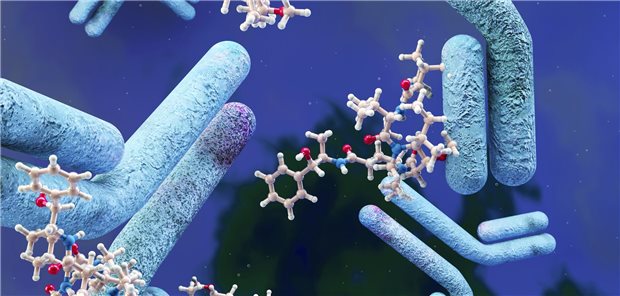 Illustration eines Antikörper-Wirkstoff-Konjugats.
