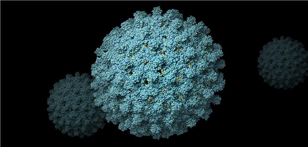 Illustration eines Hepatitis-B-Virus.