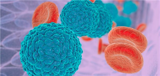 Illustration im Blut zirkulierender Dengue-Viren.