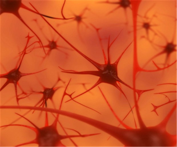 Alzheimer-Forschung in USA: große Pläne, wenig Geld Illustration von Neuronen im Gehirn: Sehr ehrgeizig ist die US-Regierung bei der Erforschung von Alzheimer.