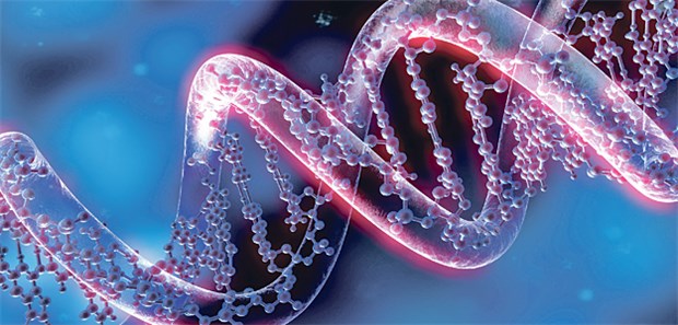 Im Fokus der Onkologen: DNA-Helix.