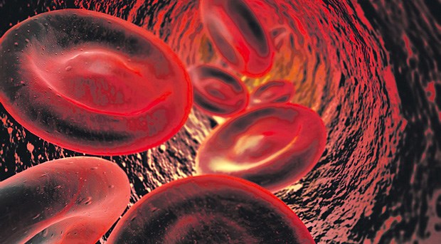 Im Kapillargebiet lässt sich die Vasomotion durch elektromagnetische Felder normalisieren.