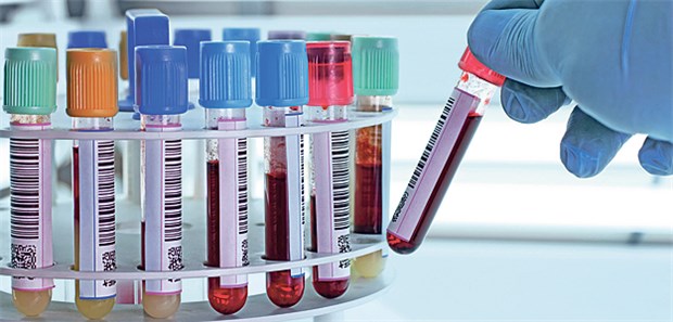 Im Labor klären sich mehr als zwei Drittel der Diagnosen.