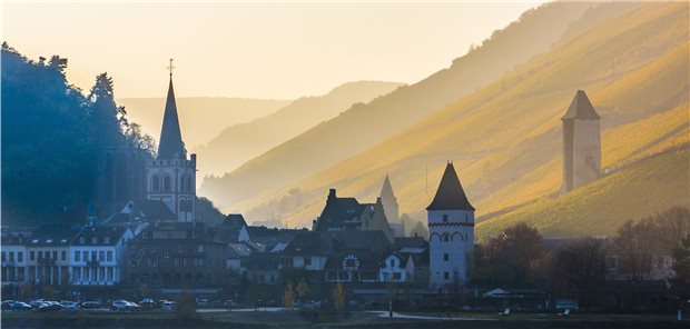 Im Schatten der Weinberge: In Rheinland-Pfalz will die KV in einer Region modellhaft die Bedarfsplanung und die Budgets aussetzen.