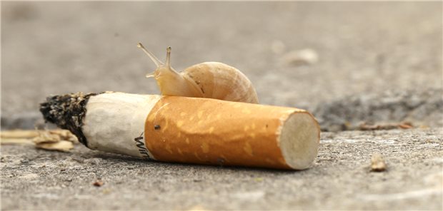 Im Schneckentempo widmet sich die Ampel-Regierung der Tabakprävention. Die vor wenigen Monaten in Kraft getretenen Werbeverbote gehen noch auf Gesetze der GroKo zurück.