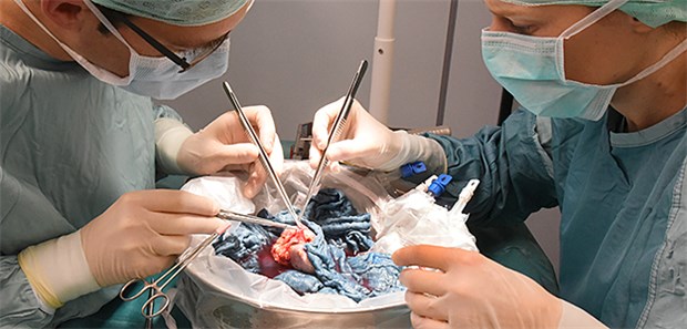 Fast jeder Zweite für Widerspruchslösung Im Transplantationszentrum am Universitätsklinikum wird eine von einem gesunden Spender vor wenigen Minuten entnommene Niere von Prof. Dr. Daniel Seehofer (l) und Fachärztin Katrin Semmling für die Transplantation beim Empfänger vorbereitet.